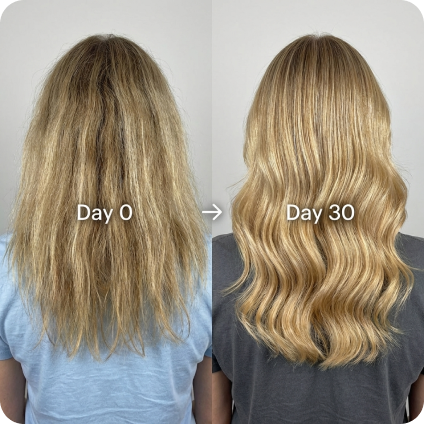 Transformation